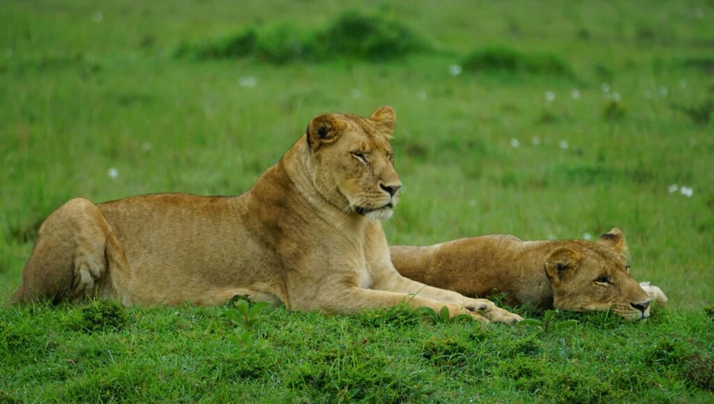 gurth-bramall-W0QYYXwC9Oc-unsplash