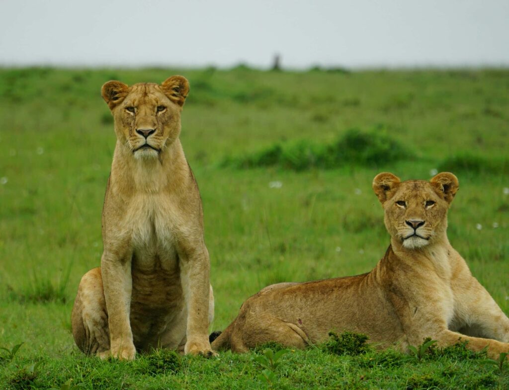 gurth-bramall-lZxIFST5Mx8-unsplash