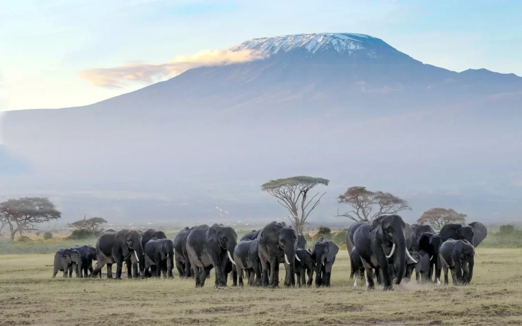 amboseli-national-park